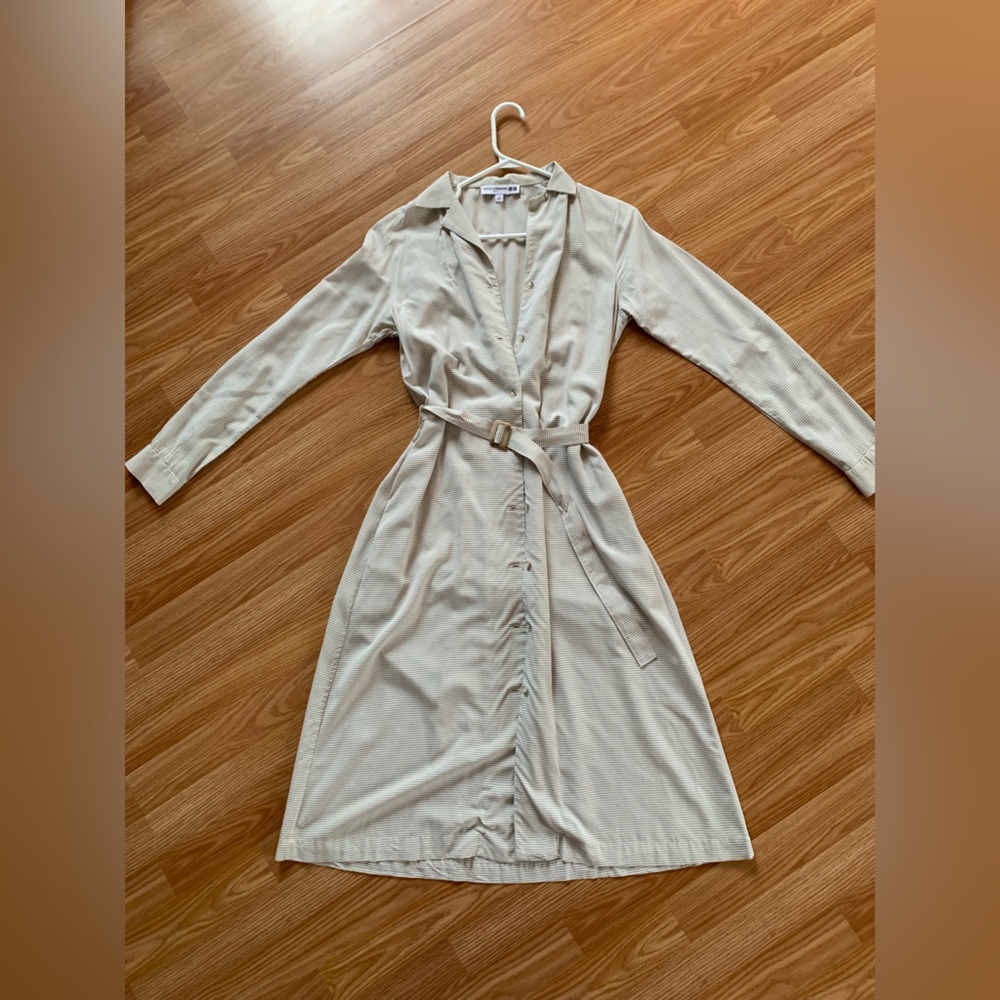 Ines de la Fressange x Uniqlo button down dress